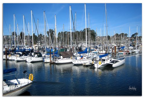 Santa Cruz Harbor, 2009
