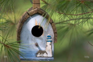 Birdhouse #2
