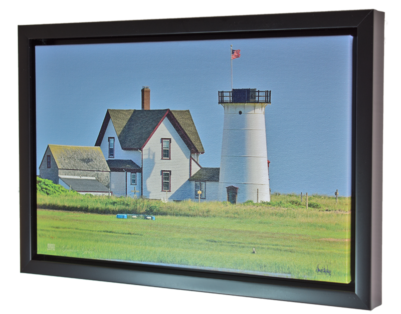 Giclée Canvas Framed Print (Black)